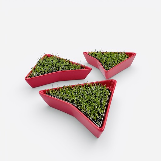 ozdoby wielkanocne Zestaw 3  kiełkowników w kolorze czerwonym + BIOZIARNA