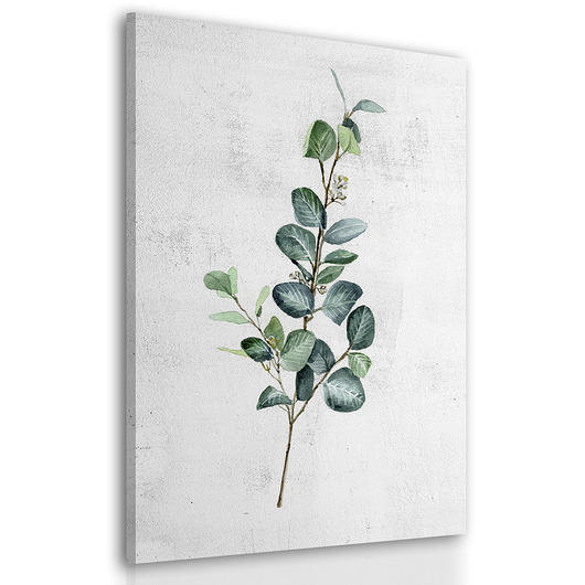 obrazy Obraz na płótnie ROŚLINKA EUKALIPTUS 40x60cm