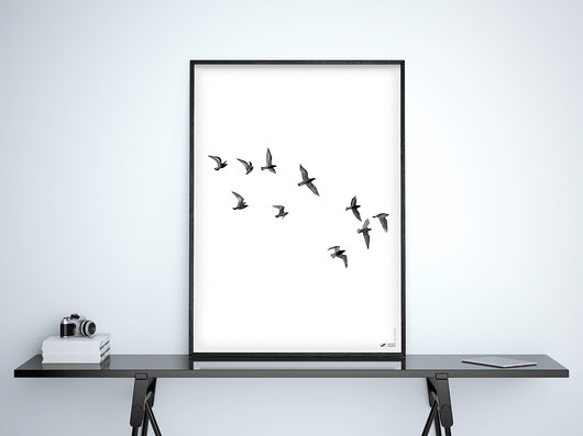 Grafika / Plakat "Czarne ptaki 2" 40x50cm WzoryKolory