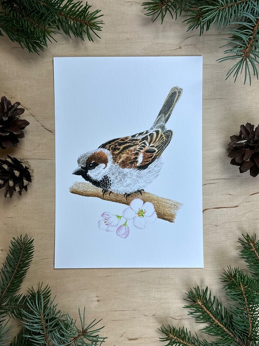 plakaty Plakat z wróbelkiem