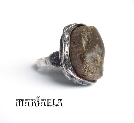 bursztyn natura jesienny 1 MARIAELA