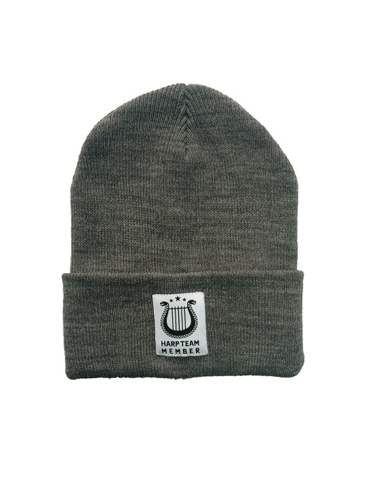 HT Beanie Grey HARP TEAM