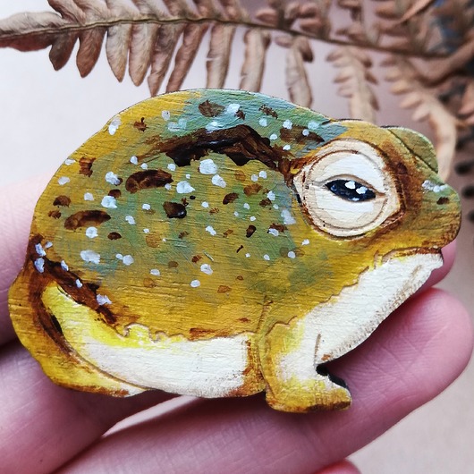 Ropucha malowana DWUKROOPEK
