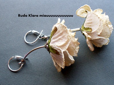 herbaciane róże ruda klara