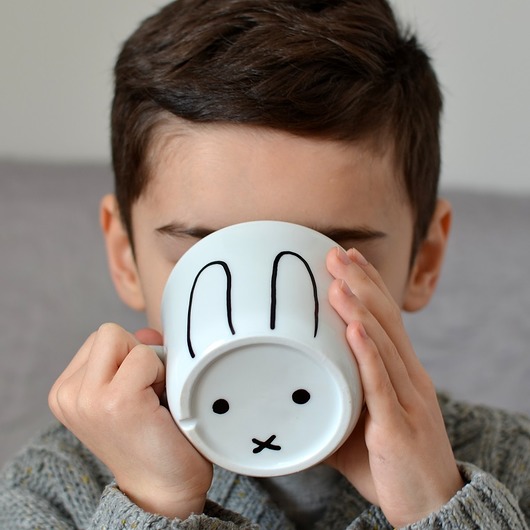 Miffy my mug company