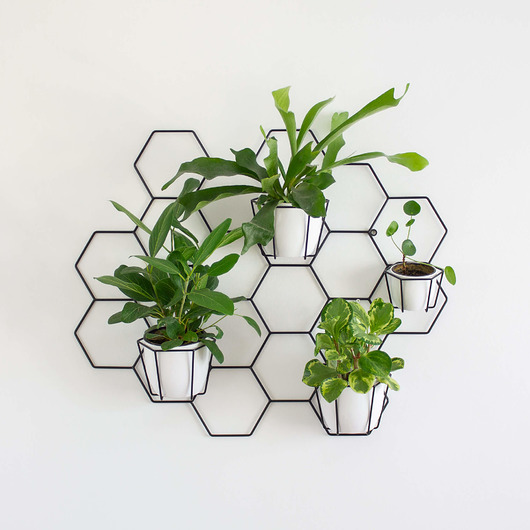 Kwietnik BASIC hexal design
