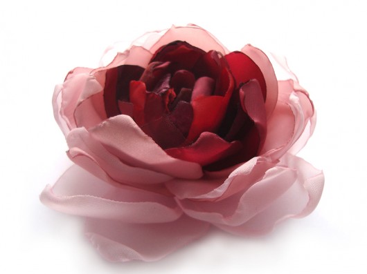 kropla malinowego soku  SundayRose