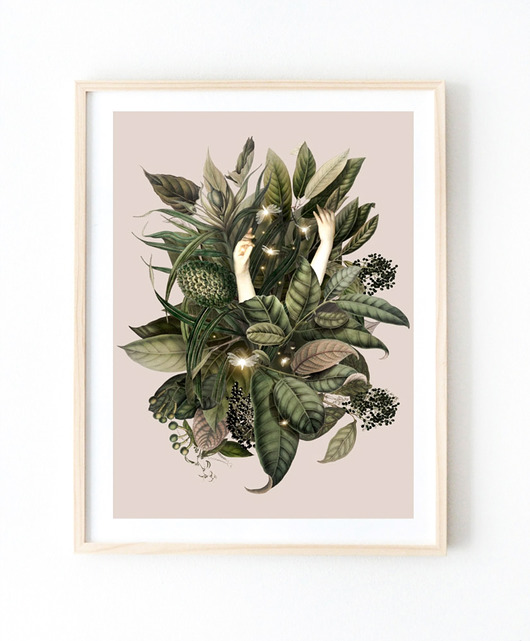plakaty Plakat Fireflies  A3