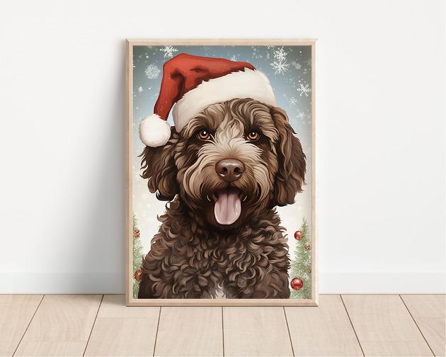 plakaty Plakat lagotto romagnolo