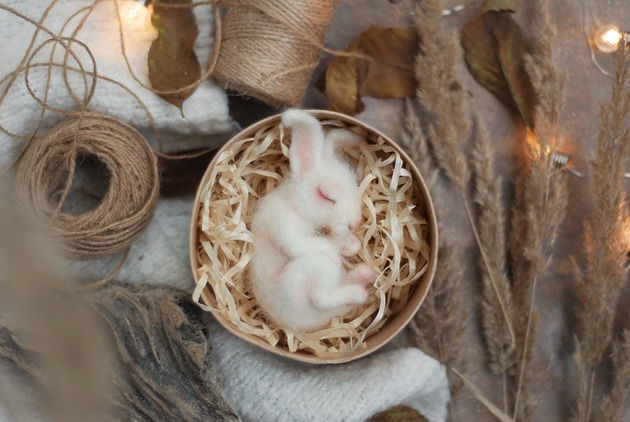 Śpiący Królik  w pudełku BoboLobo Handicraft