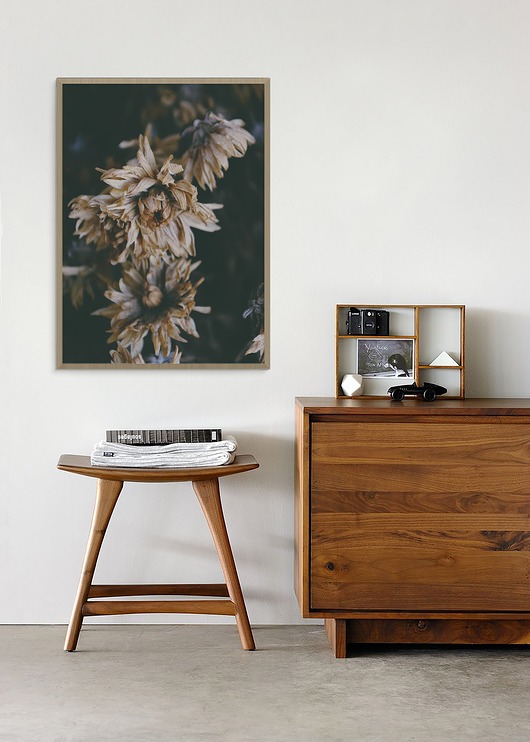 Plakat skandynawski botaniczny Dried Flowers myscandi