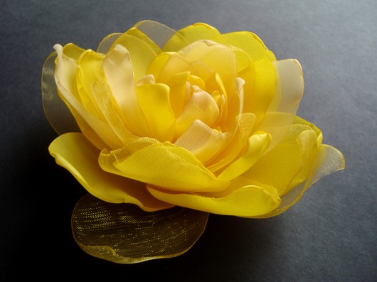 cytrynka SundayRose