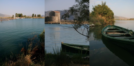 Albańska kolekcja starożytna chaju