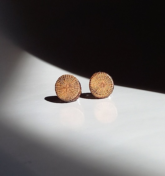 kolczyki drewniane Drewniane kolczyki sztyfty