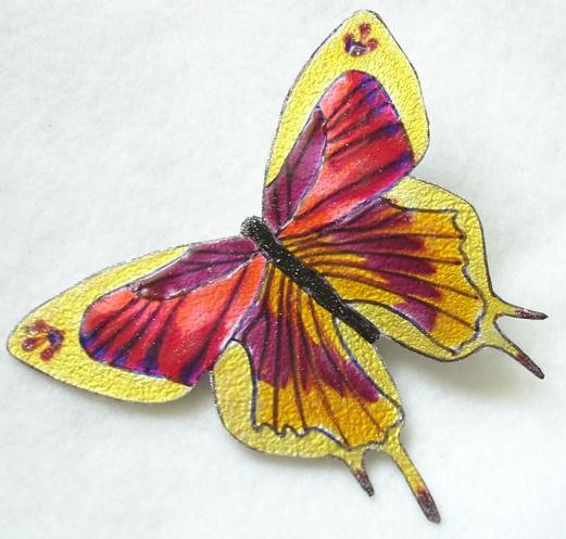 Motyl z krainy snu Iris Szarooka