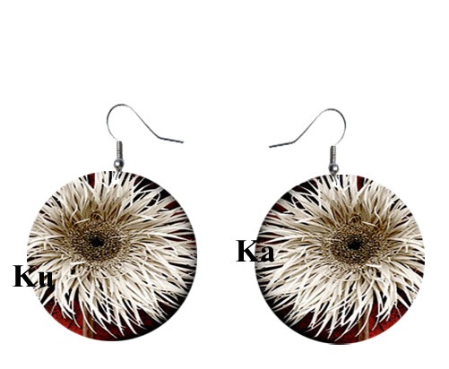 Aster KuKa