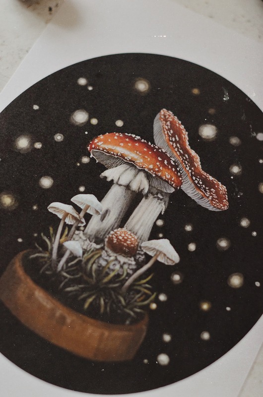 grafiki i ilustracje Ilustracja  z grzybami - muchomorki