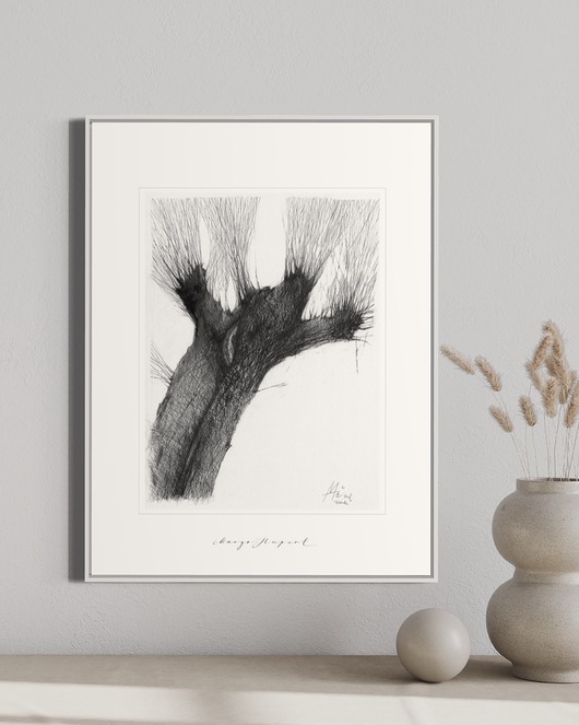 grafiki i ilustracje Wierzba 40x50 cm