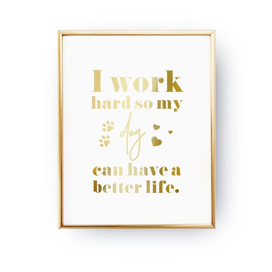 Plakat I Work Hard So My Dog Can Have A Better Life ZlotePlakaty