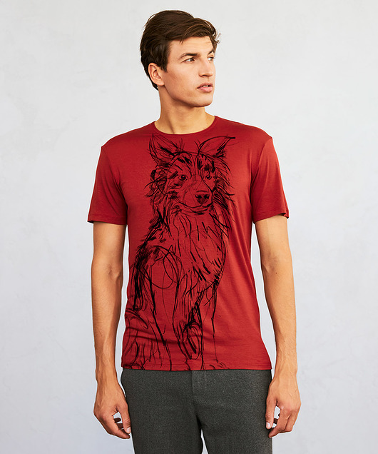 t-shirty męskie Border Collie Dog Men's T-shirt marsala