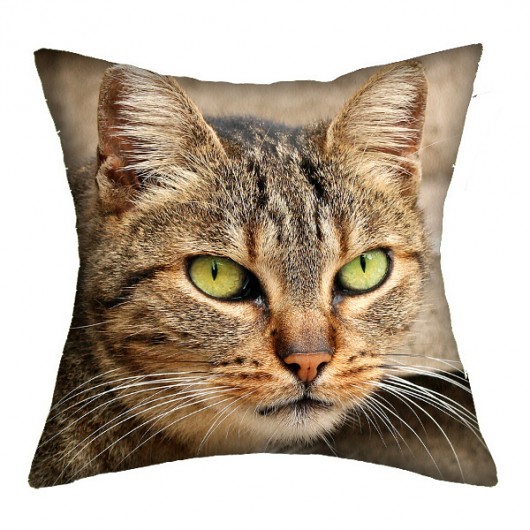 Promocja! 2w1 rzymskie koty 4 - poducha 36 cm AT design