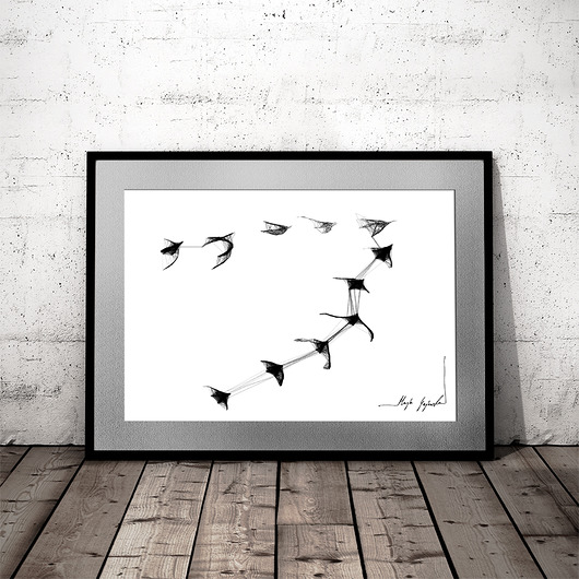 GRAFIKA 26 - birds Maja Gajewska