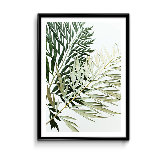 Green #2 - plakat  Bury Lis