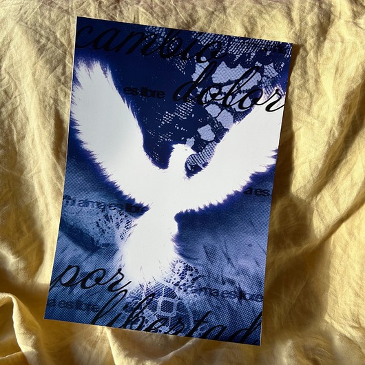 plakaty Plakat cambio dolor por libertad a3