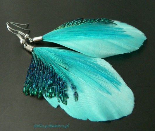 mariposa blue Stella