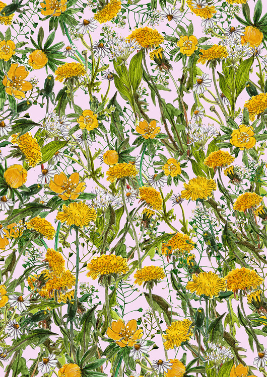 grafiki i ilustracje Wiosenna łąka - grafika- ilustracja na ścianę