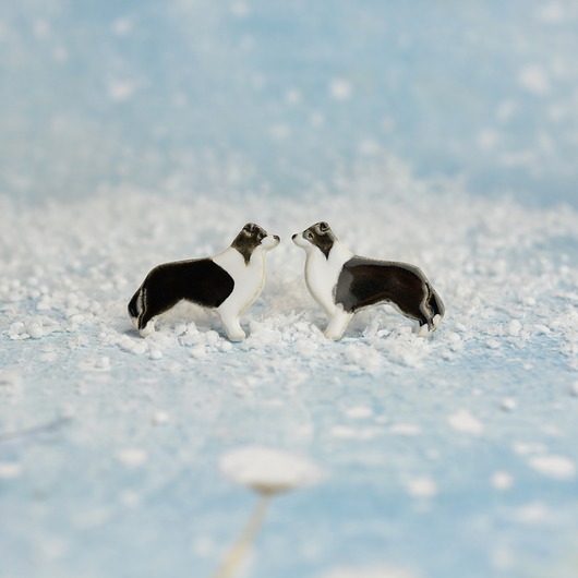 kolczyki ceramiczne Border collie - ceramiczne kolczyki
