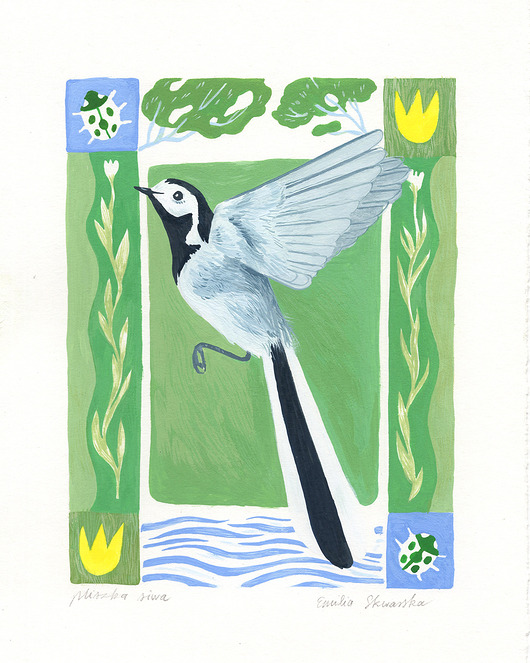 grafiki i ilustracje Print Pliszka siwa 18x24 cm