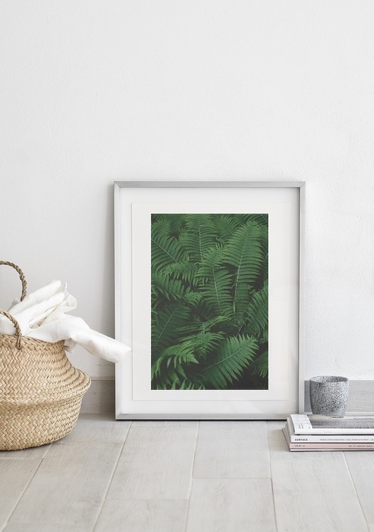 Plakat skandynawski botaniczny Paproć myscandi