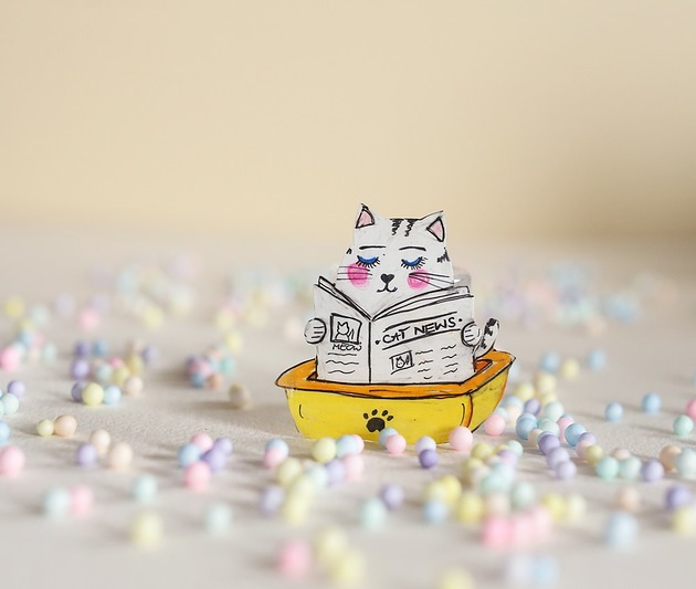 broszki Broszka  Cat news kot czytający gazetę