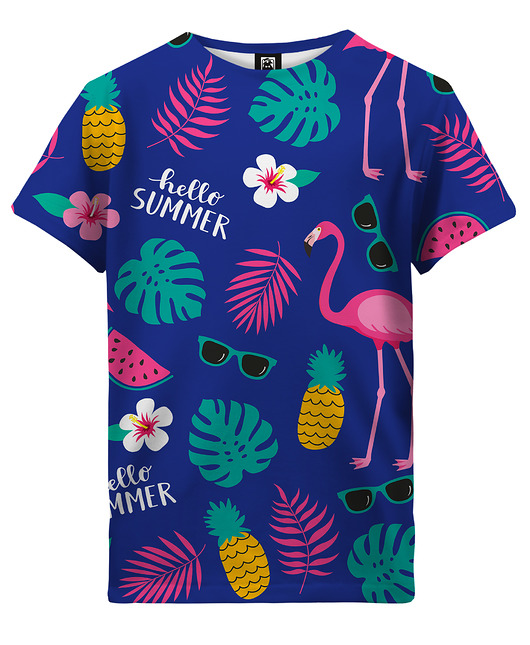 t-shirty dla chłopców T-shirt Boy DR.CROW Hello Summer