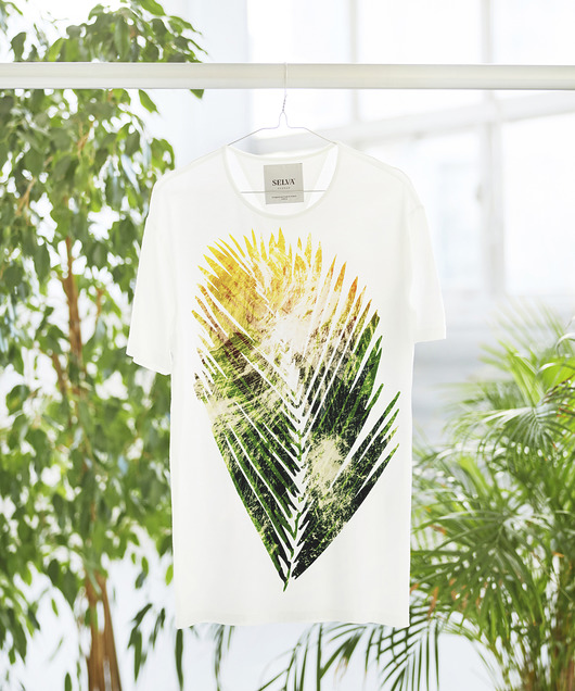 t-shirty męskie Sunset Leaf MAN T-shirt