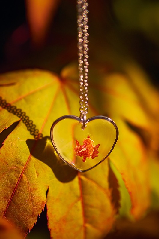 srebrne naszyjniki Naszyjnik z żywicy z listkiem klonu w srebrnym serduszku