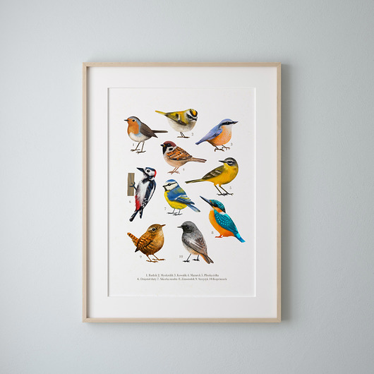 Plakat "Ptaki" 30x40 cm Studio Stonka