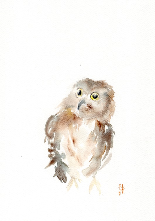 obrazy Oryginalna akwarela. Włochatka