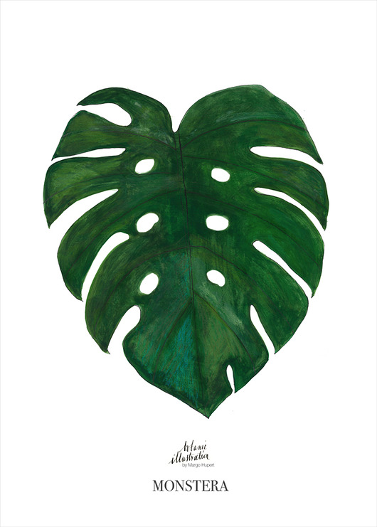 MONSTERA |print| 50x70 cm Margo Hupert