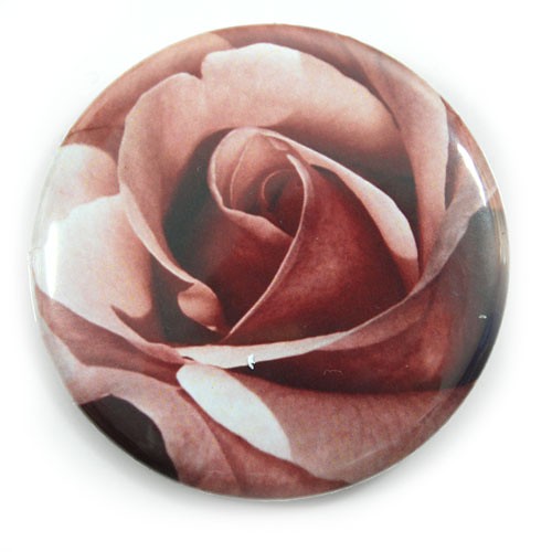 rosarium1 pixelove