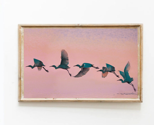 fotografia PLAKAT ptak w locie, dekoracja ścienna, fotografia natury, czapla