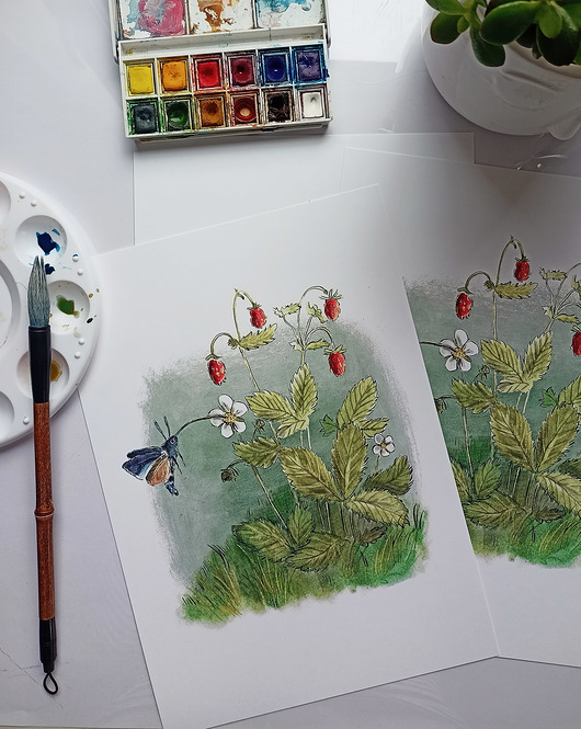 grafiki i ilustracje Fruczak gołąbek