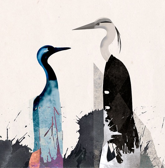 grafiki i ilustracje ŻUrAw i czApLa