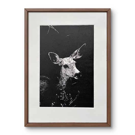 grafiki i ilustracje Linoryt "Sarna"