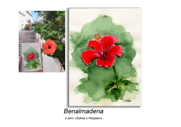 grafiki i ilustracje Obraz ręcznie malowany  Hiszpania Hibiskus
