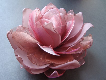 MARA SundayRose