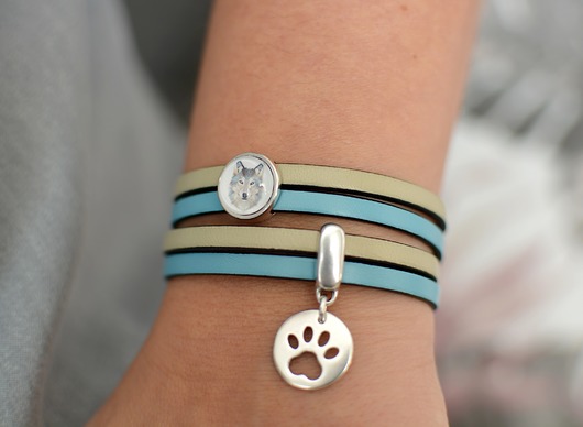 Bransoletka  MAGNETOOS DOUBLE WOLF & PAW CHARMS Beezoo