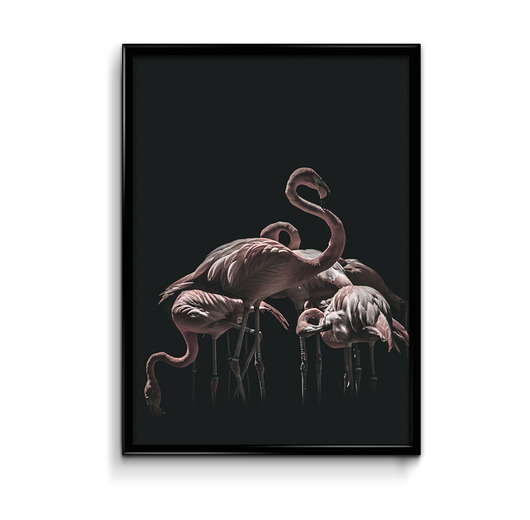 Plakat Flamingi  Bury Lis