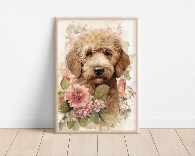 plakaty Plakat lagotto romagnolo